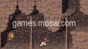 Prince of Persia 2: The Shadow and the Flame PC game