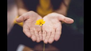 Медитация Прощение  Гигиена души