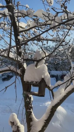 В январе растет день — растет и холод