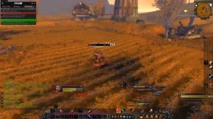 WoW classic era Hardcore - rogue leveling