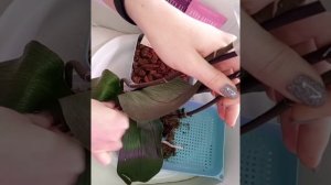 после реанимации орхидеи, правильная посадка. советую посмотреть