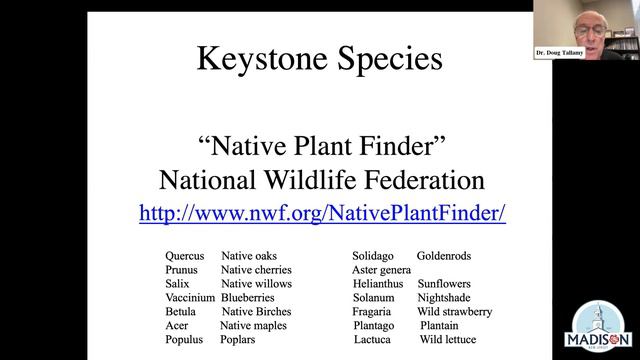 Nature’s Best Hope: Madison "Noon Zoom" смотреть онлайн