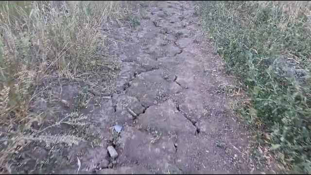 Уральск.  пойду в лес...?