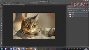 КАК СДЕЛАТЬ РАСТУШЕВКУ В ФОТОШОПЕ