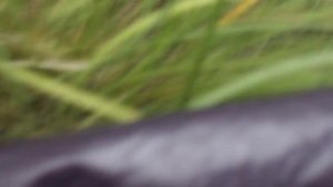 О ИЖ-СПЛ и патронах " Хилти"