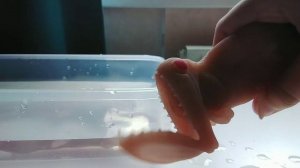 атака чудовищ и ко макси деагостини