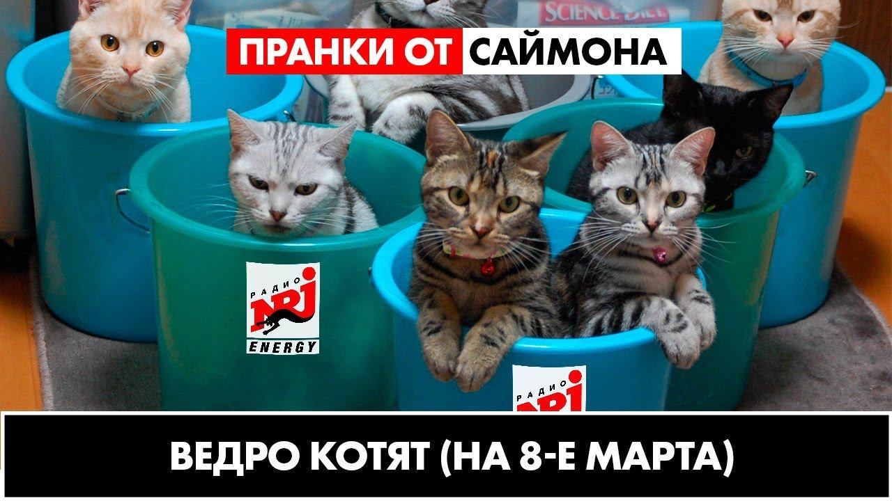 ЛУЧШИЙ ПОДАРОК ДЕВУШКЕ НА 8 МАРТА.