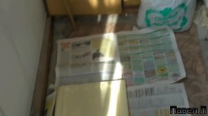 Как сделать нарды дома (из дерева)backgammon