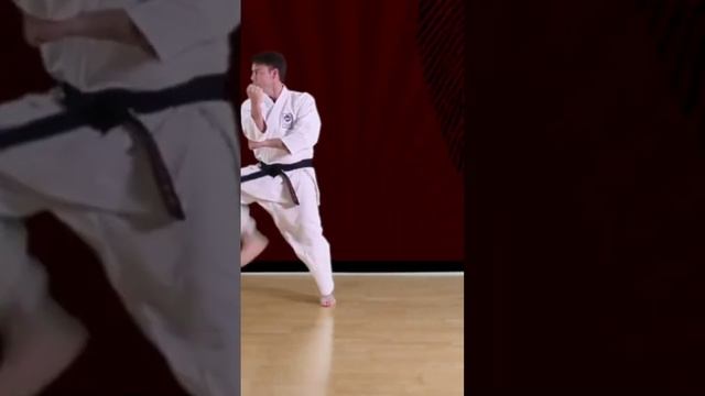 Tekki Shodan - - Kata Bunkai - Elbow Frame against a Haymaker