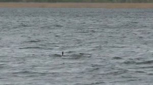 ХОРОШО НА ПРИРОДЕ!!! 4 Мая. Заповедные места Донецкого края.