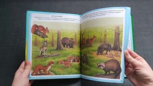 Твоя первая энциклопедия "Животные" МАХАОН