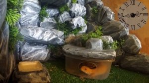 КАК ЭУБЛЕФАР НАНА ГОТОВИТ СЕБЯ КО СНУ ДНЕМ / НАВОРАЧИВАЮ КРУГИ TIMELAPSE