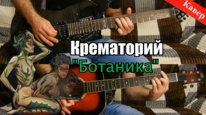 Крематорий - Ботаника (соло) кавер