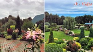?Оригинальные идеи для облагораживания садового участка / Creative garden ideas / A - Video