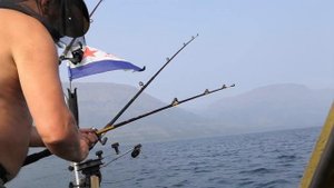 Таймыр, озеро Лама, август 2021г.