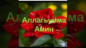 Манарша Дибирова