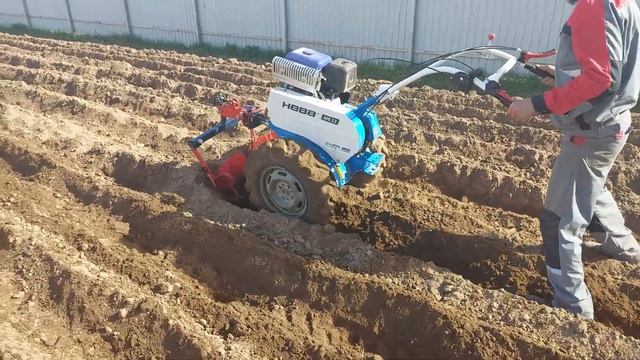 Нева МБ23 МультиАгро и посадка картофеля с установкой окучников вперёд. смотреть онлайн