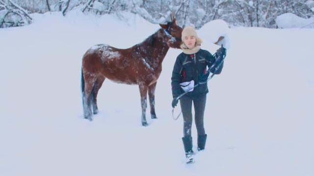 МОЙ ДЕНЬ С ЛОШАДЬЮ / Работа в руках с Марго | KonoVLOG смотреть онлайн