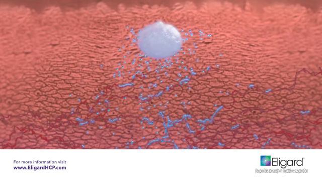 ELIGARD ProductVideo Compressed