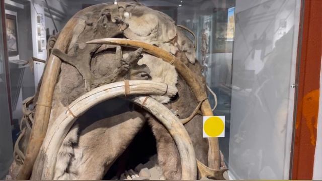 История жизни первобытных людей