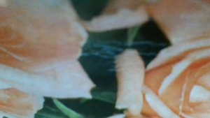 Песня о Москве(Почему же,ты, Москва,мне так часто ночью снишься)к/ф«Внимание! Всем постам»)наброски