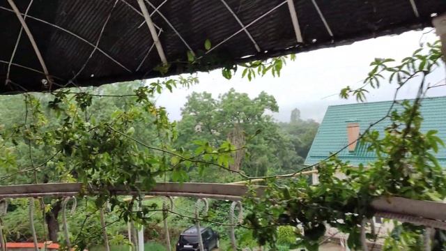 12.06.23 День России❤️ смотреть онлайн