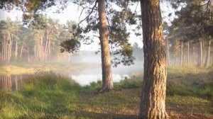 Волчья яма - на грани жизни и смерти. Таежные истории и байки. Аудио рассказы. Случай в тайге