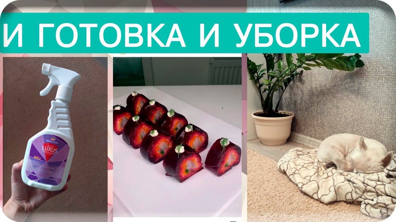 НЕОБЫЧНАЯ ПОДАЧА "ПОД ШУБОЙ"/ТЕСТ ДРАЙВ/ЧИСТИМ КОВЕР/БУДНИ МАМЫ/РЕЦЕПТ САМЫХ ВКУСНЫХ СУХАРИКОВ/ВЛОГ