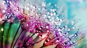 "Сердце любить должно" -  (Премьера песни).