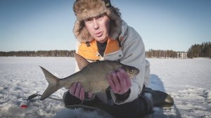 10 КГ ЛЕЩА за пол часа в глухозимье. Крупный лещ в глухозимье. Бешеный клёв леща.