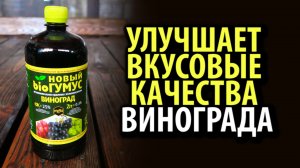 Удобрение БИОГУМУС ВИНОГРАД 25% фульвокислот 1л