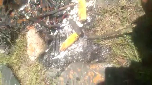 В Кыргызстане горных река на фарель. смотреть онлайн