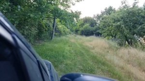 июнь. КИЕВ. Посуда с БАРАХОЛКИ, собираем и едем на ДАЧУ.