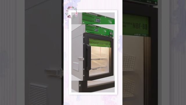 Инкубаторы NBF Для Бизнеса И Для ЛПХ смотреть онлайн