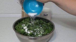 ЗАГОТОВКА ЩАВЕЛЯ НА ЗИМУ ( засолка)