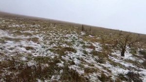 Охота на зайца по первому снегу 23-24 год! Трудовой заяц был добыт ! hunting and fishing МР -155
