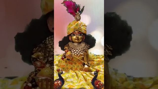 Om krishnaye vasudevay Harye parmatne।#peace #of #mind#viralytshorts#shreekrishnasong #krishnabhaja