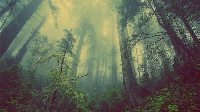 Эмбиент музыка, CBL - MOS 6581 смотреть онлайн