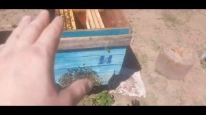 Простейший Отводок за 5 минут/заставили рой вернуться обратно/