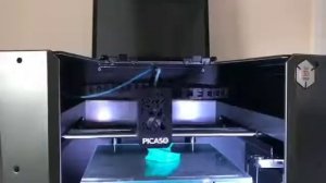 Пробная печать на 3D принтере Picasso X