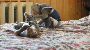 Когда с тобою  рядом---  я не могу молчать...