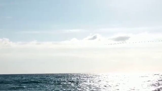 Летят утки и два гуся!))) .1 декабря 2020 г.?Лазаревское. благодарю Галину Васильевну за помощь! смотреть онлайн