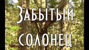 Забытый зверовой солонец Старинный, с сидьбой ( лабаз ) в тайге
