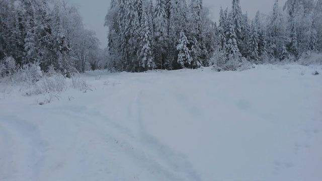 Дорога на делянку, при выписке леса на хоз. постройки смотреть онлайн