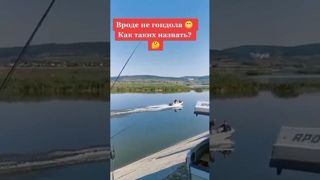 Как таких назвать!? #прикол #рыбалка