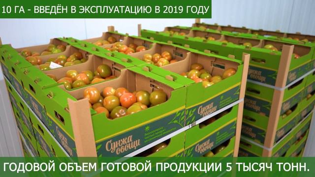 Презентационный видеоролик АО «Агрокомплекс «Сунжа» в Ингушетии
