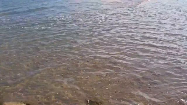 ?Италия/Обстановка Перед Новым Годом/Интересный Метод ОЗДОРОВЛЕНИЯ/Не Знают Уже к Чему Прицепиться смотреть онлайн