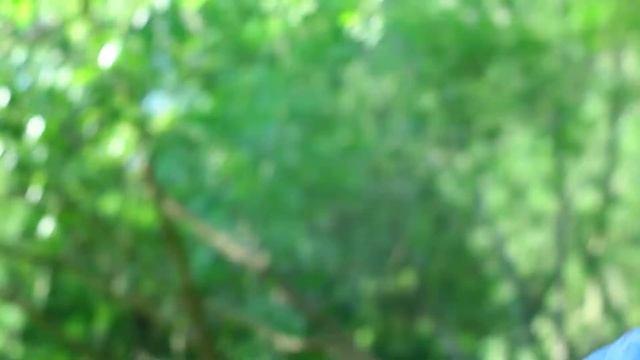 Бразильская народная песенка смотреть онлайн