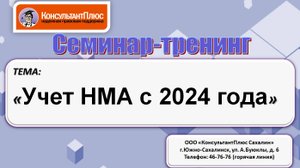 Учет НМА с 2024 года