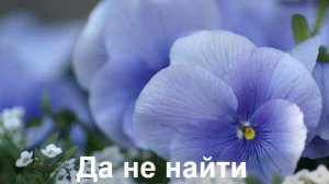 Бирюзовые Колечки (САМЫЕ ЛУЧШИЕ ПЕСНИ 80/90Х)!